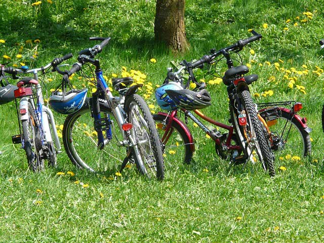 Cum plănuiești o excursie cu bicicleta alături de familie