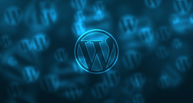 Cele mai uzuale probleme peste care poti sa dai folosind WordPress