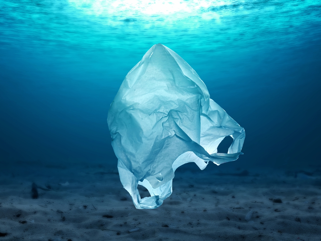 Top 6 lucruri pe care nu le știai despre pungile de plastic: De ce să folosești pungile biodegradabile de aici înainte